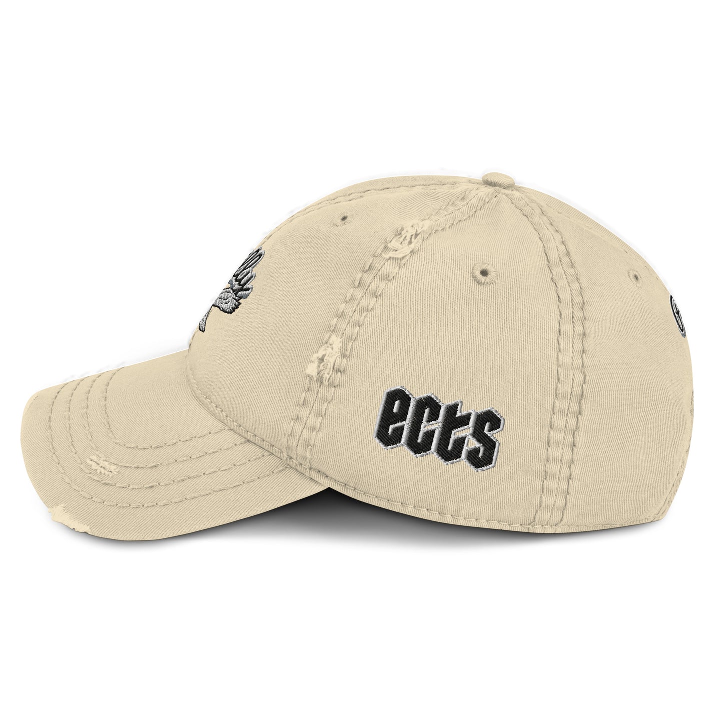 Distressed Philly Retro Dad Hat