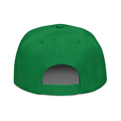 Philly Eagles retro Snapback Hat