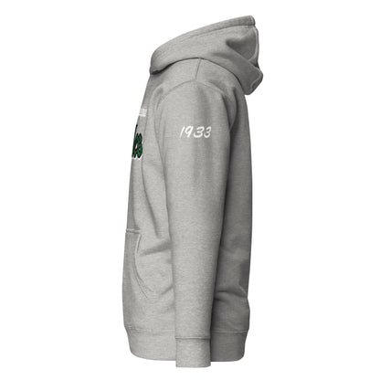 Philadelphia Eagles Unisex Hoodie